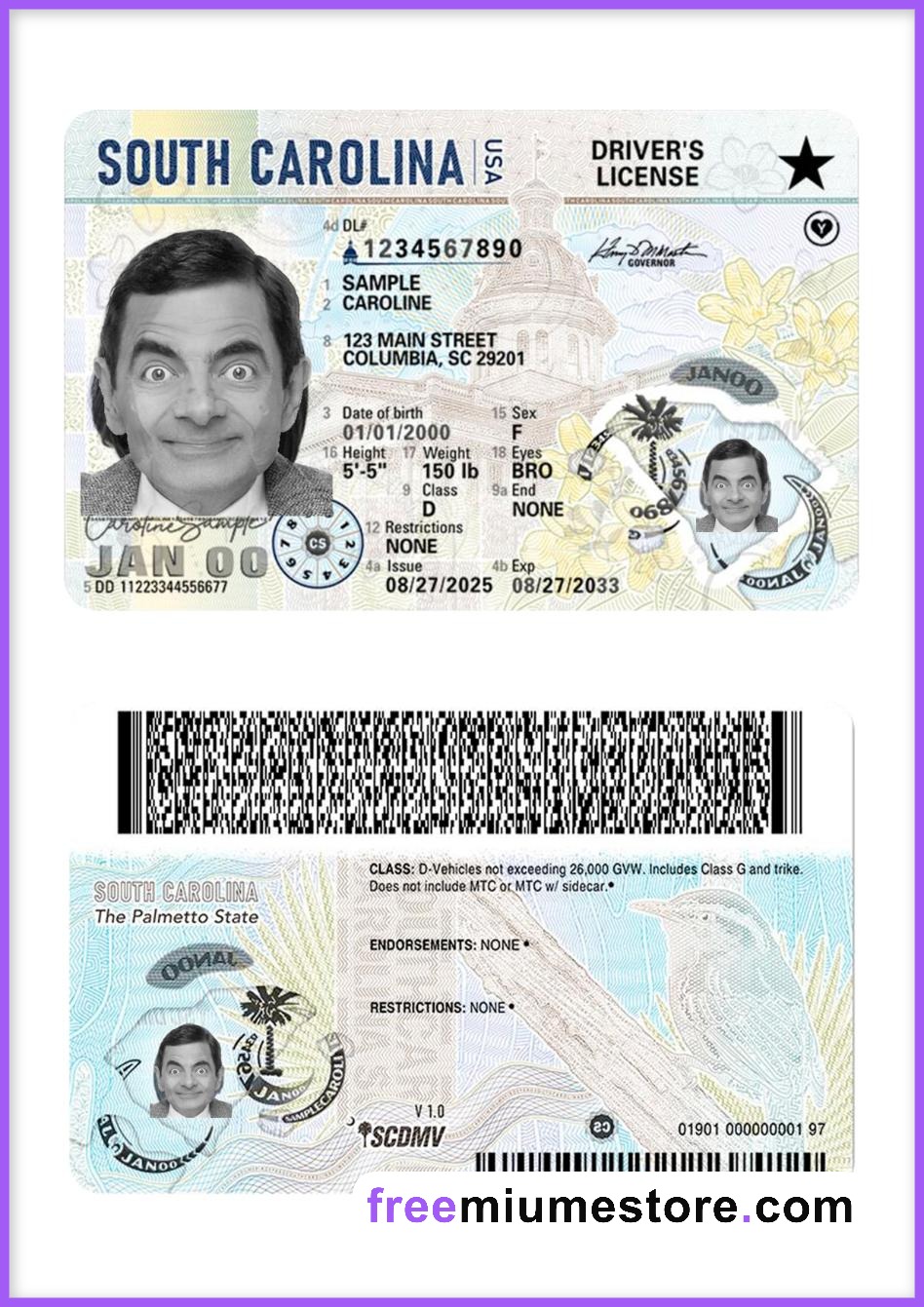 South Carolina Driver license PSD Template